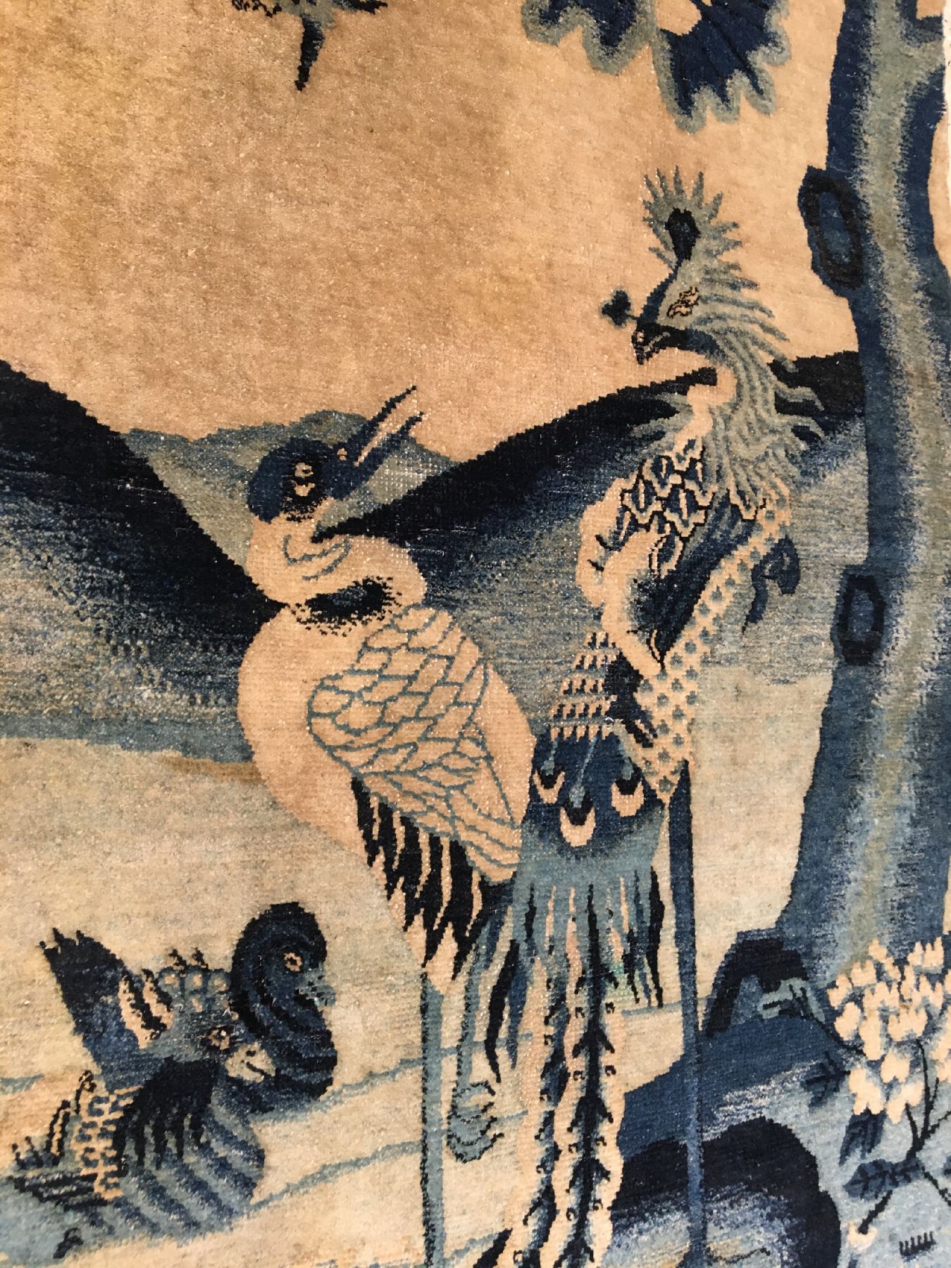Detail b: Feiner Peking "Wandteppich" antik (Phönyx), Nordostchina, 19.Jhd., Wolle geknüpft auf Baumwolle. Dekorativer Bildteppich in feiner ...