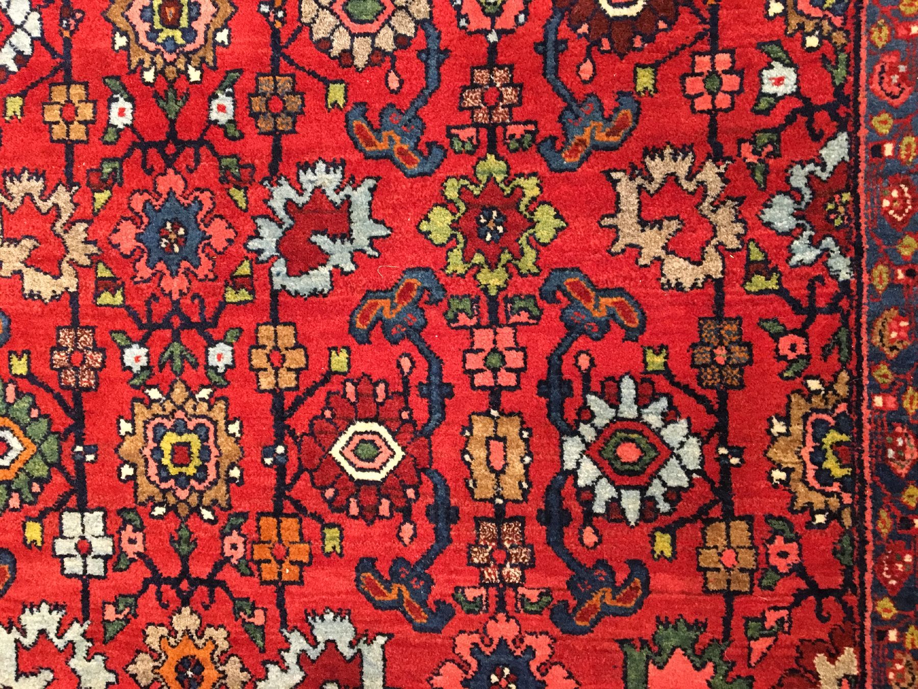 Detail f: Großer Bidjar antik (Harschang Design), Nordwestpersien, Ende 19.Jhd., Korkwolle geknüpft auf Baumwolle. Dekorativer Bidjar mit Harschang ...