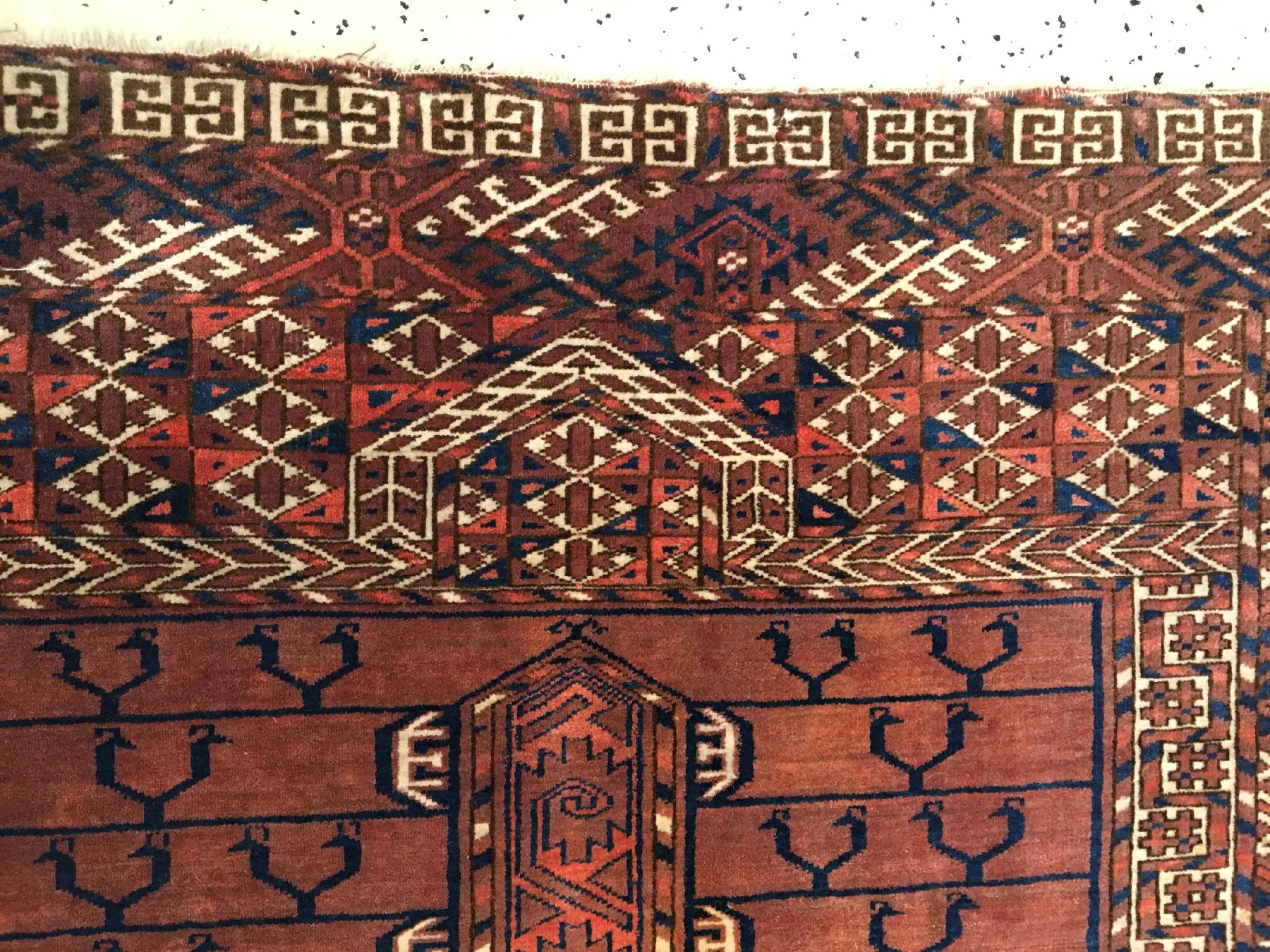 Detail c: Feiner Tekke "Engsi" antik, Turkmenistan, 19.Jhd., Wolle geknüpft auf Wolle. Feiner Türteppich der Tekke Turkmenen mit seltener Baum ...