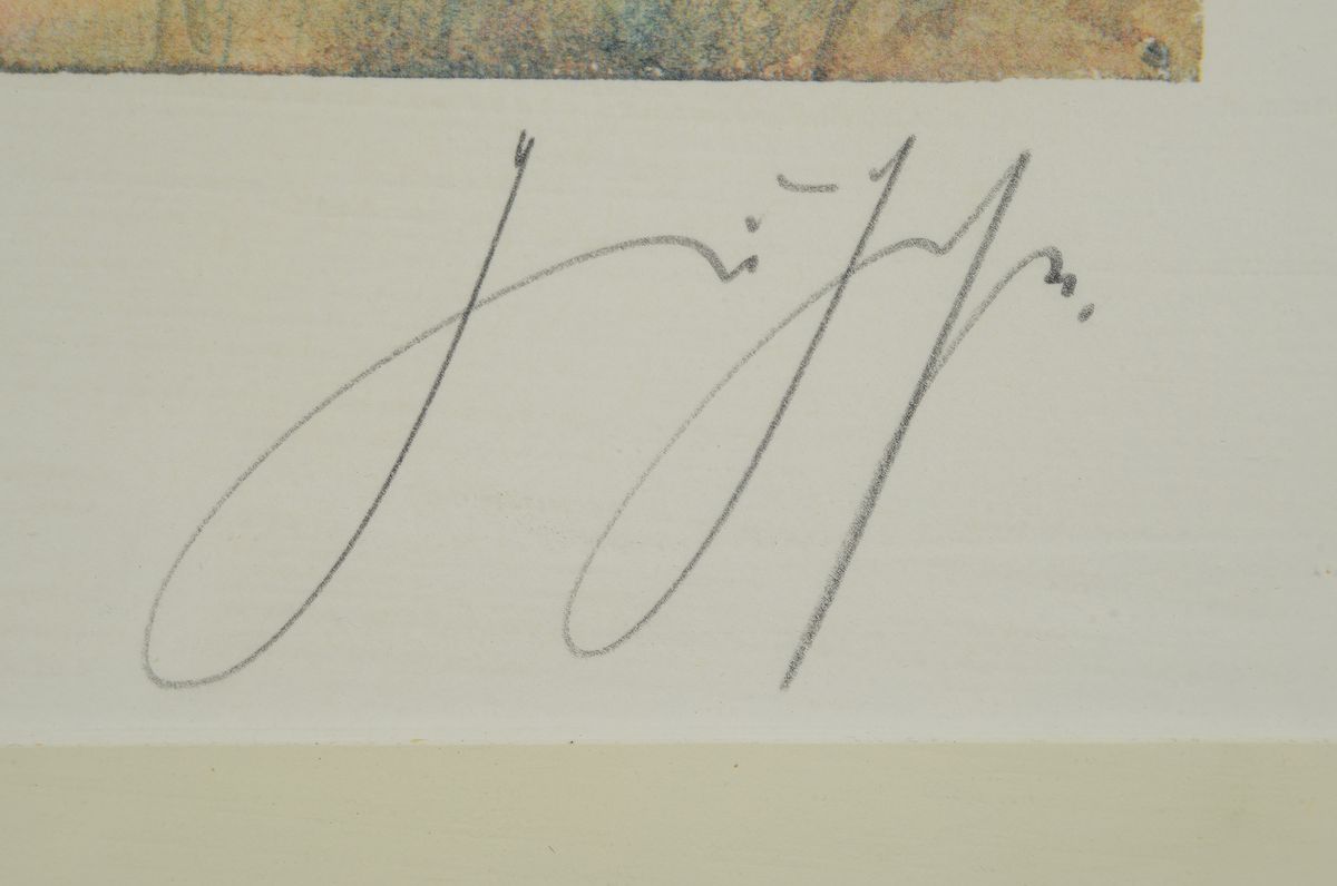 Detail a: Günter Grass, 1927-2015, Farblitho, handsign., num., 2/150, Motiv ca. 23,5x32, unter Glas gerahmt ca. 43,5x54 cm