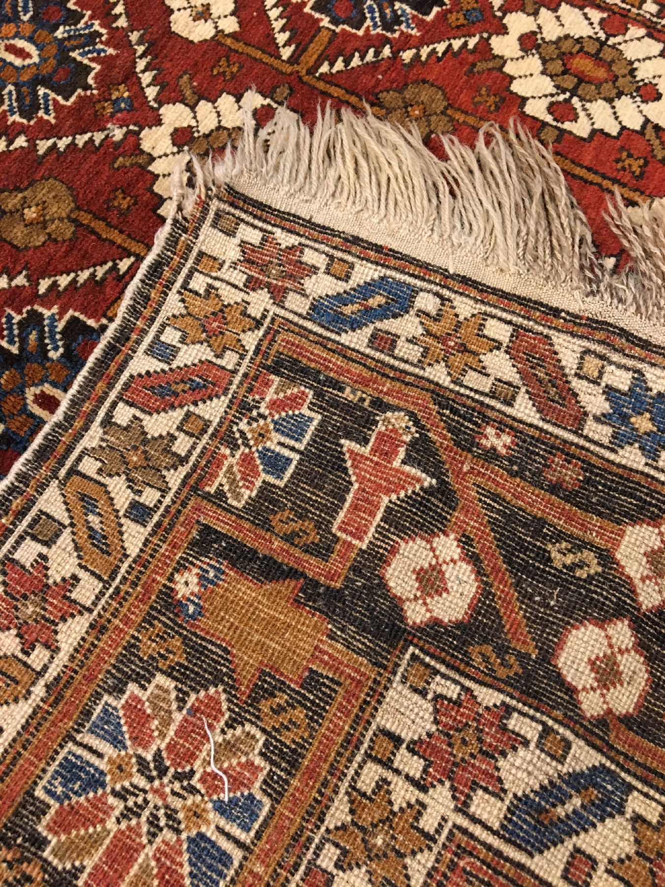 Detail g: Feiner Baku antik, Ostkaukasus, Ende 19.Jhd., Wolle geknüpft auf Wolle. Feiner Schirwan aus der Baku-Region mit allover Muster, ca. 150 x 122 cm, ...