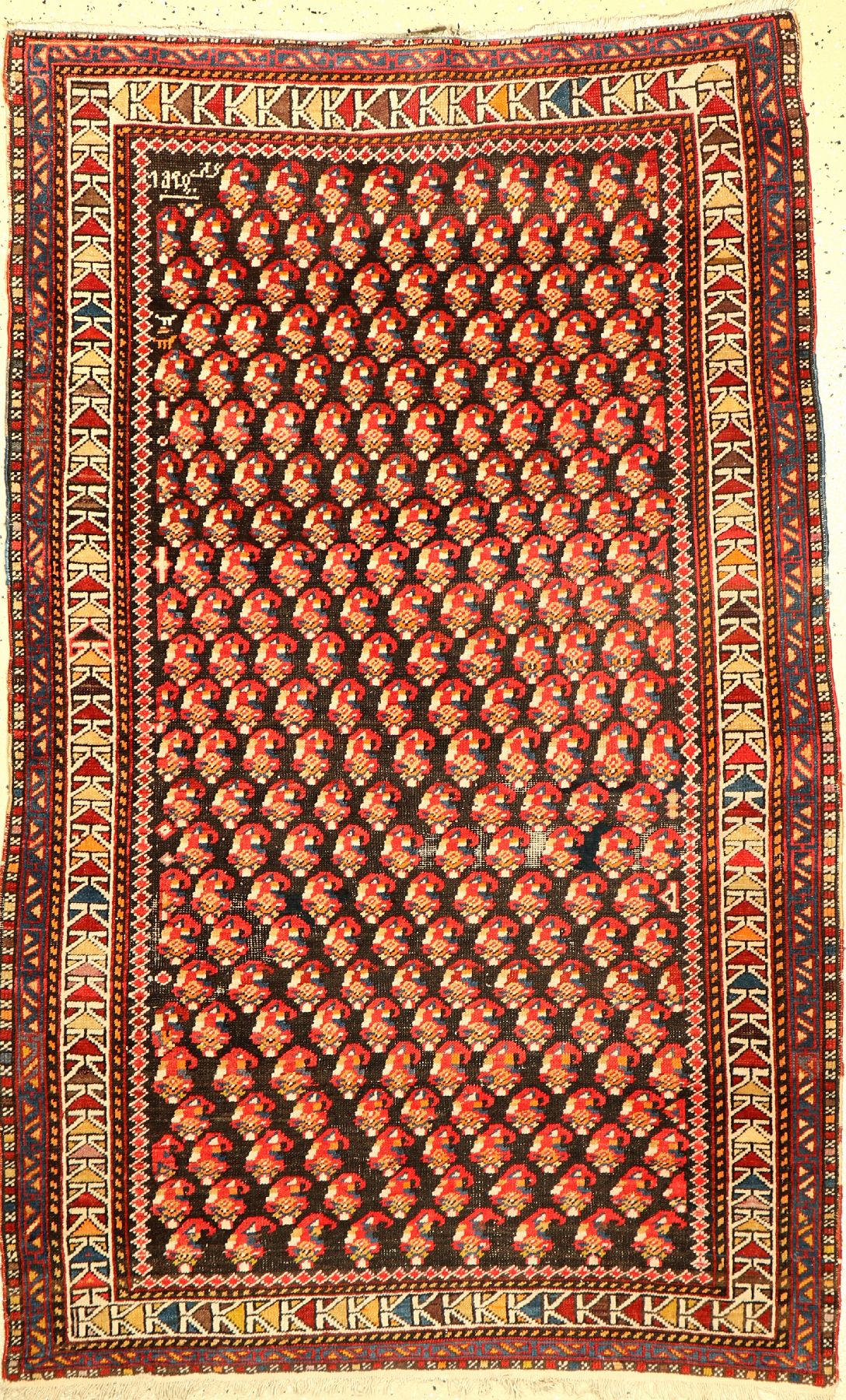Shirwan datiert 1920, Kaukasus, Wolle auf Baumwolle, ca. 174 x 110 cm, EHZ: 3-4