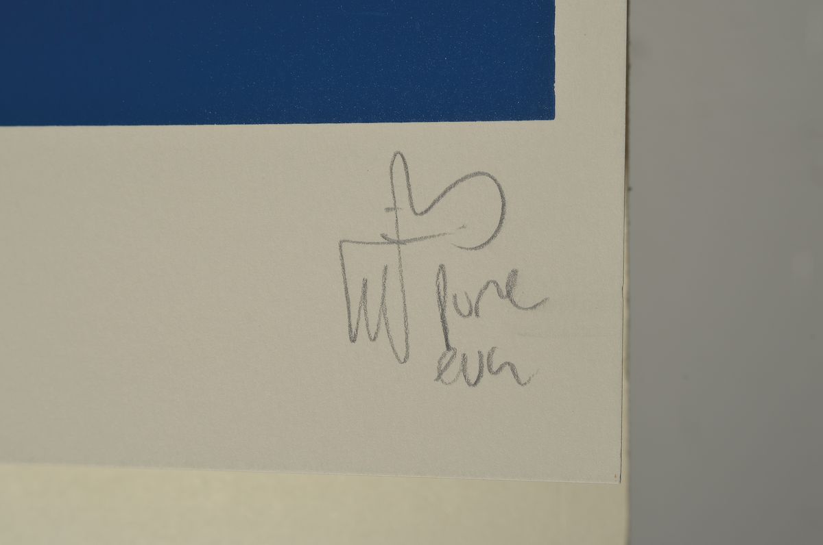 Detail a: Pure Evil, geb. 1968, britischer street art Künstler, Obama, Farbsiebdruck, handsigniert und bez.: AP, ca. 79x68cm