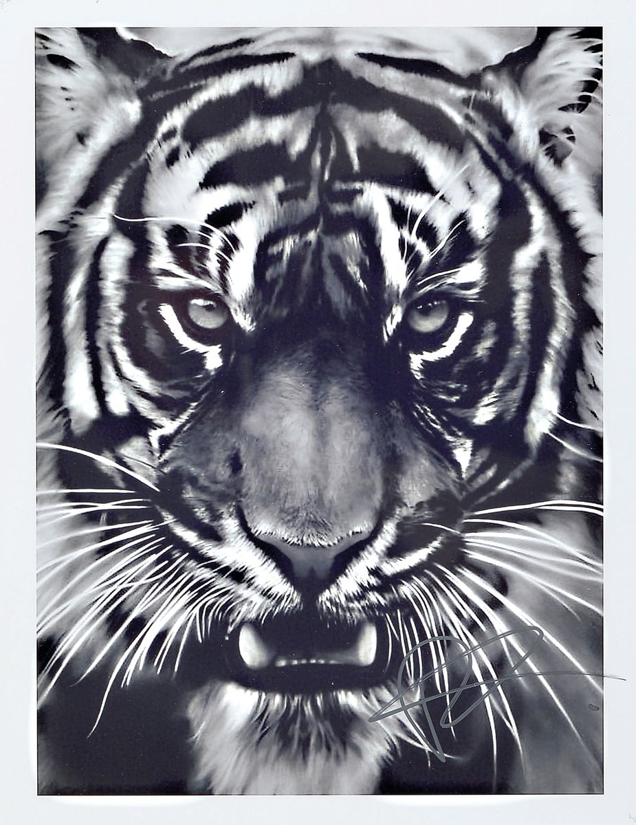 Robert Longo, geb. 1951, "Tiger", Presse Foto, nicht limitiert, handsign., zwischen doppelt Plexiglas gerahmt, ca. 26x20 cm, gesamt ca. ...