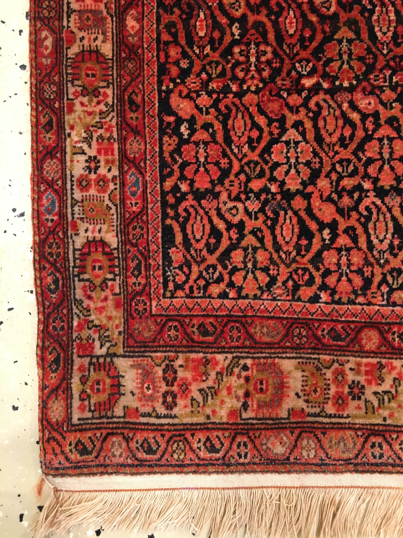 Detail f: Sehr feiner Mischan Malayer antik, Westpersien, 19.Jahrhundert, Korkwolle geknüpft auf Baumwolle. Sehr aufwändig gemusterter Malayer aus dem Dorf ...