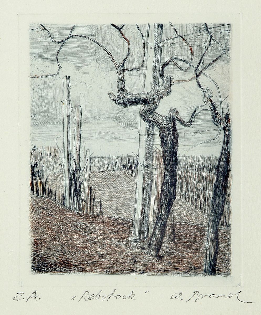 Detail b: Werner Brand, geb. 1933 Löbau/Sachsen, lebt und arbeitet in der Pfalz, 3 Radierungen, Rebstock, bez. E.A., ca. 13.5x10.5cm/37x32cm; Altrhein, bez.: ...