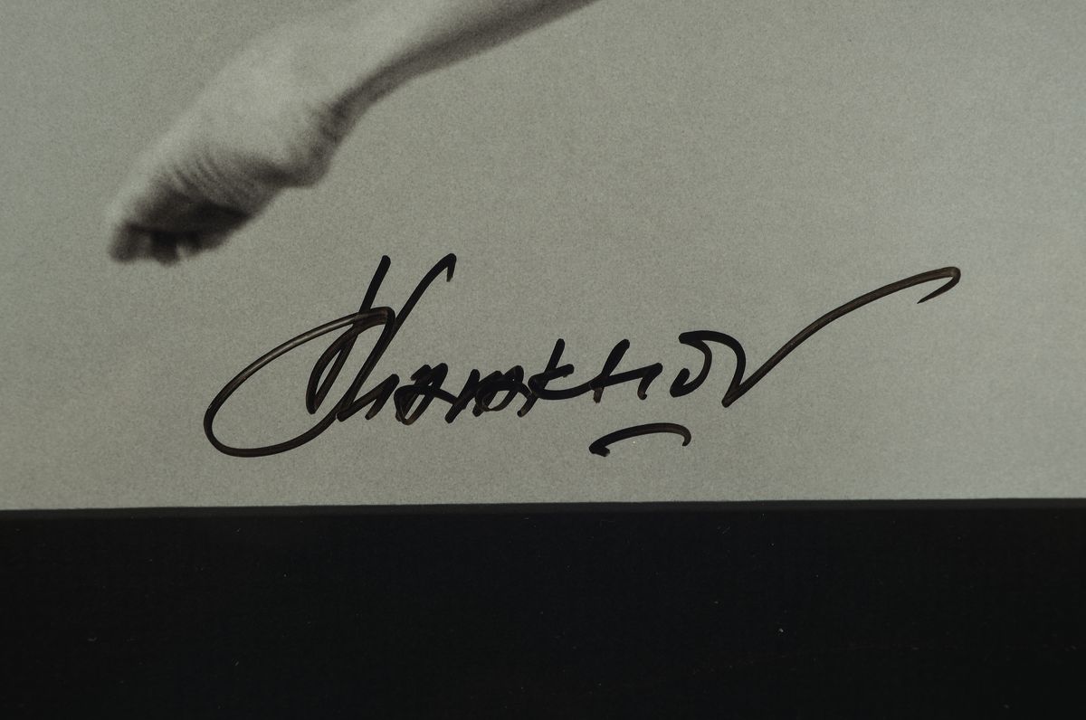 Detail a: Dieter Blum, geb. 1936, Fotografie auf dickem Fotopapier, " Tanzstudie", 2000/2009, handsigniert von Dieter Blume und Vlaimir Malakhov ( ...