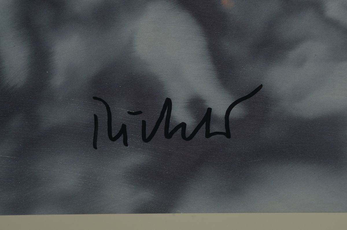 Detail a: Gerhard Richter, geb. 1932, "Lovers in the Forest" 1995, Herausgeber : The Israel Museum Tel Aviv, Jerusalem, 1995 handsigniert, lim. ...