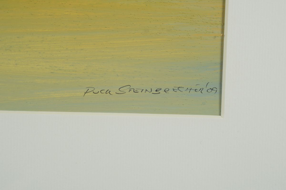 Detail a: Puck Steinbrecher, 1950 Bad Zwischenahn, Studium an der Universität Oldenburg bei Prof. R. Pfenning und Prof. J. Denker, seit 1976 als ...
