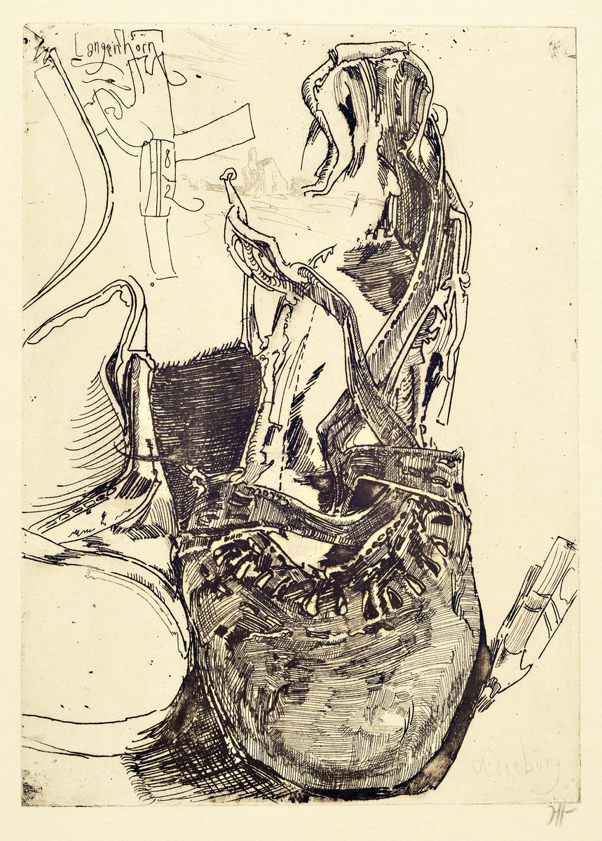Horst Janssen, 1929-1995, zwei Radierungen mit Schuhmotiven, beide handsigniert, , beide handsigniert, je ca. 44x32cm