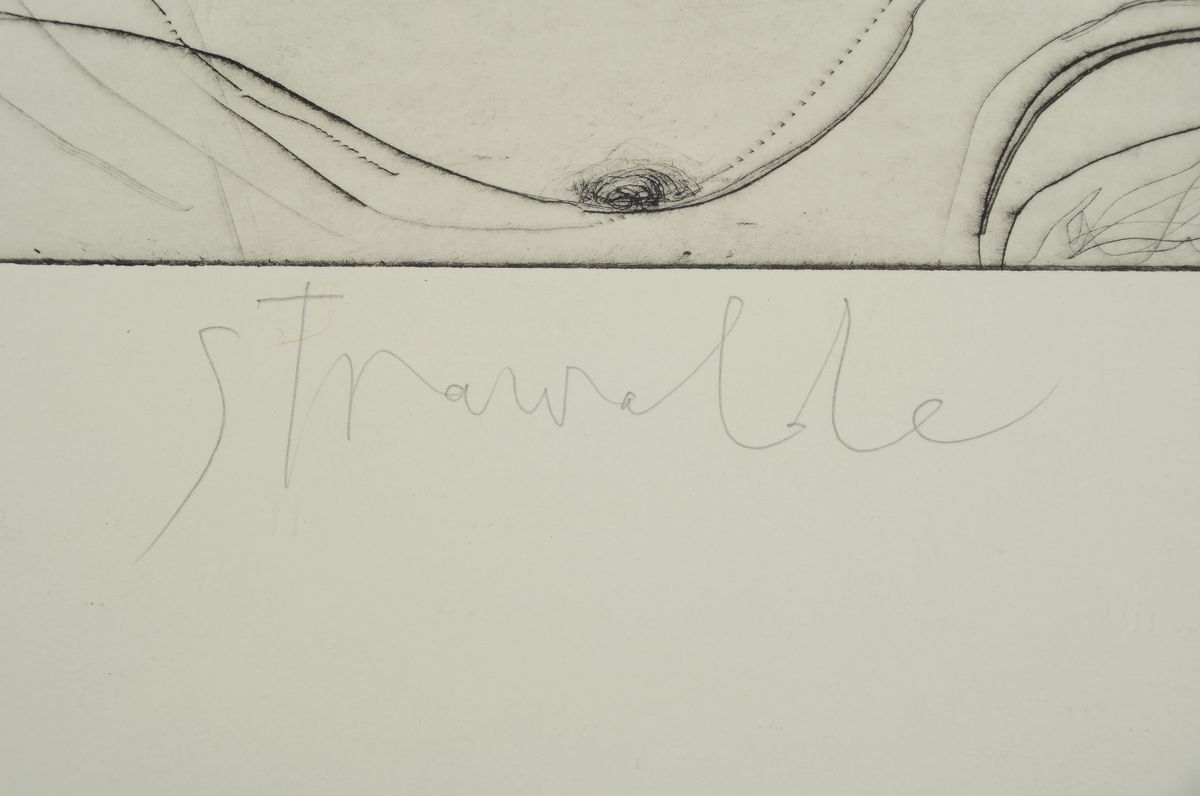 Detail a: Srawalde, Russ auf Papier, sign., dat. num. 15/26, Motiv ca. 53x49 cm, gesamt 100x71 cm