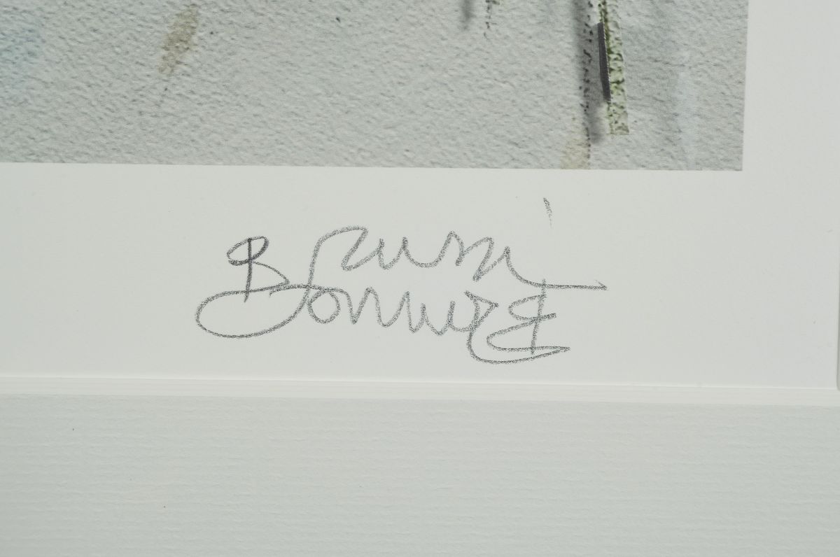 Detail a: Bruno Bruni, geb. 1930 Gradara, Amaryllis, dreidimensionale Farblithographie, num. 9/25, handsigniert, ca. 42x50cm, PP, u.Gl., R. ca. 82x62cm