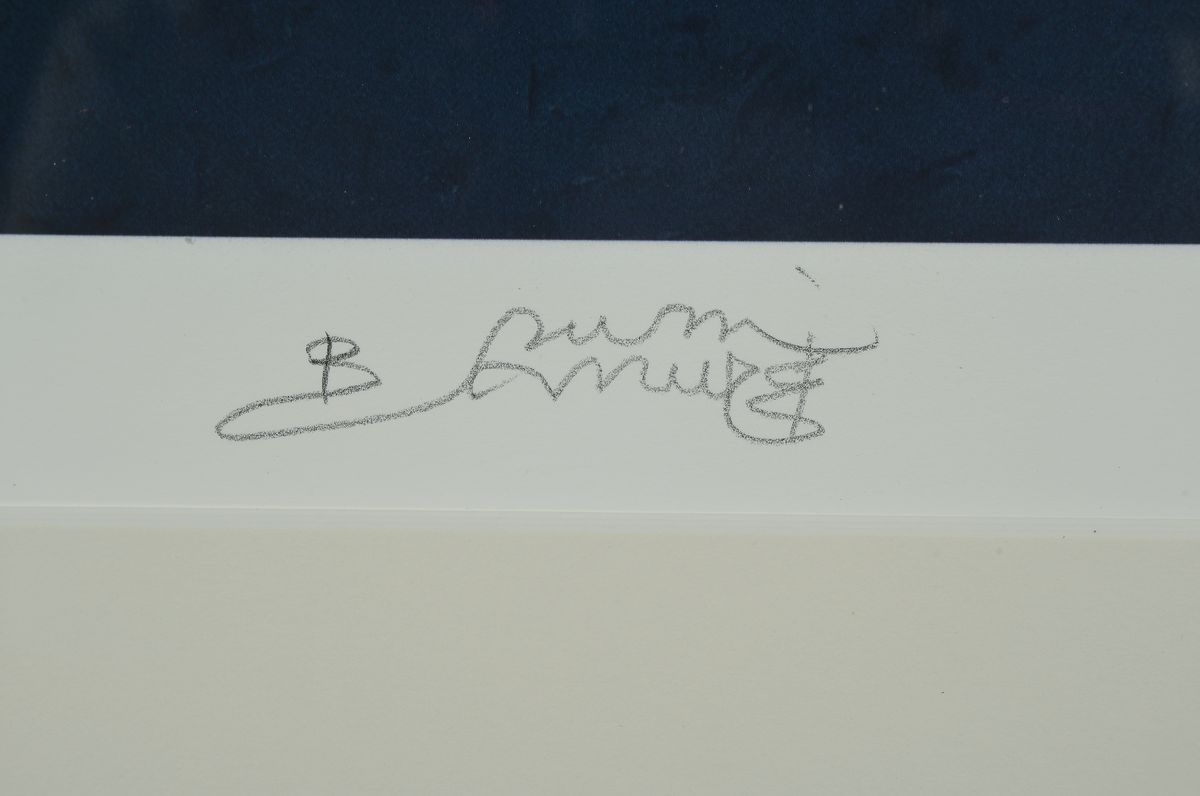 Detail a: Bruno Bruni, geb. 1930 Gradara, Amaryllis, dreidimensionale Farblithographie, num. 15/25,handsigniert, ca. 48x40cm, PP, u.Gl., R. ca. 83x63cm