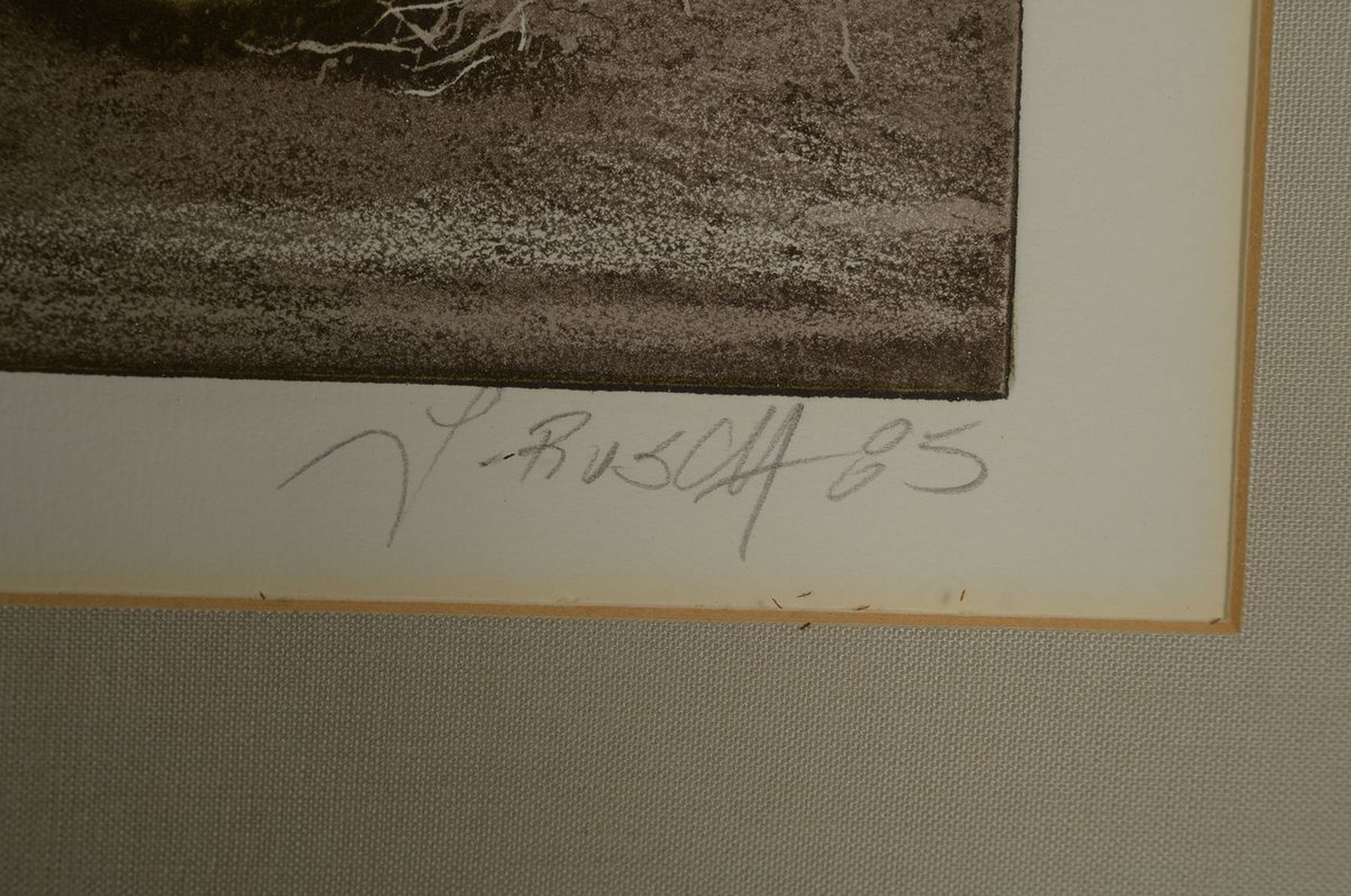 Detail c: Werner Brand, Lithographie, e.a 1965, Früchte-Stillleben, unter Glas gerahmt, ca. 40x49, R. 62x83 cm