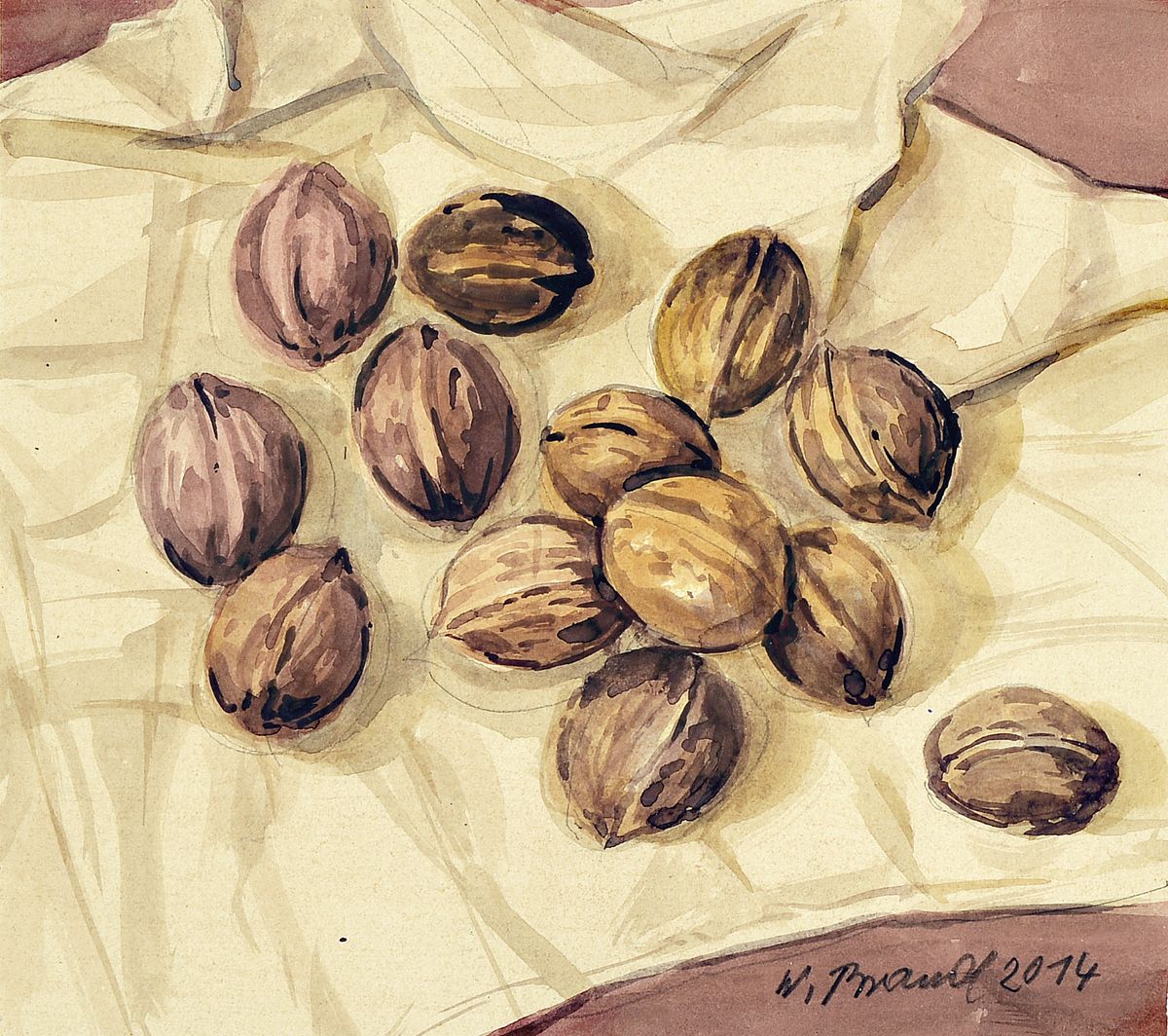 Werner Brand, geb. 1933, Stillleben mit Walnüssen, Aquarell auf Papier, rechts unten signiert und dat. 2014, ca. 18x20cm, PP, u.Gl., R.