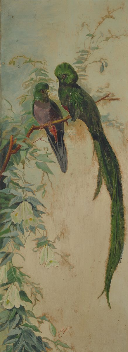 J. Welter, deutscher Maler, um 1900, zwei Vögel auf Blütenzweig, Öl/Malkarton, unten mittig signiert, ca. 100x28cm, R. ca. 110x59cm