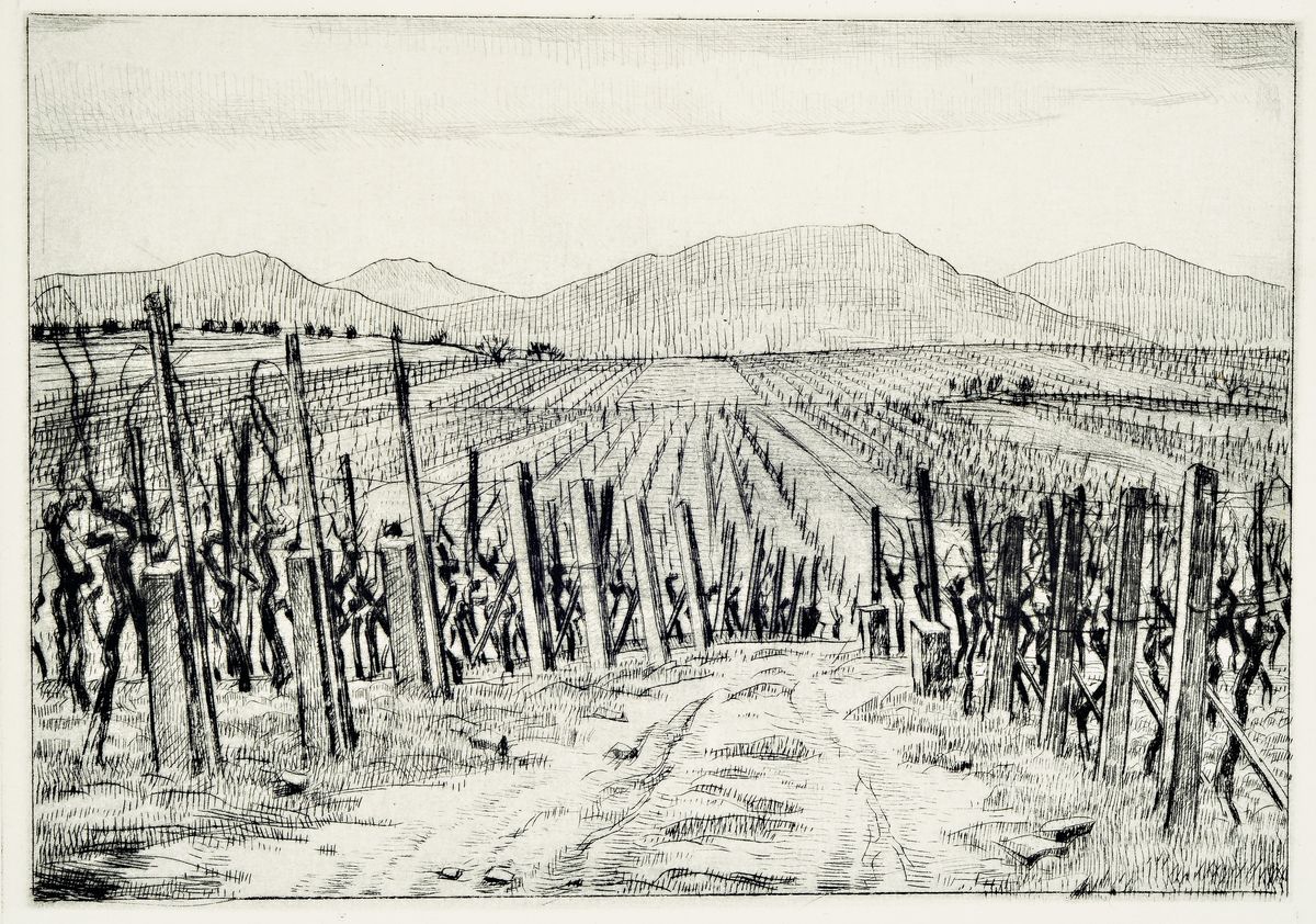 Werner Brand, geb. 1933, Mappe "Wein und Reben", mit 6 Radierungen, alle handsigniert, num. 4/30 und betitelt: Wingert, Der Rebstock, ...
