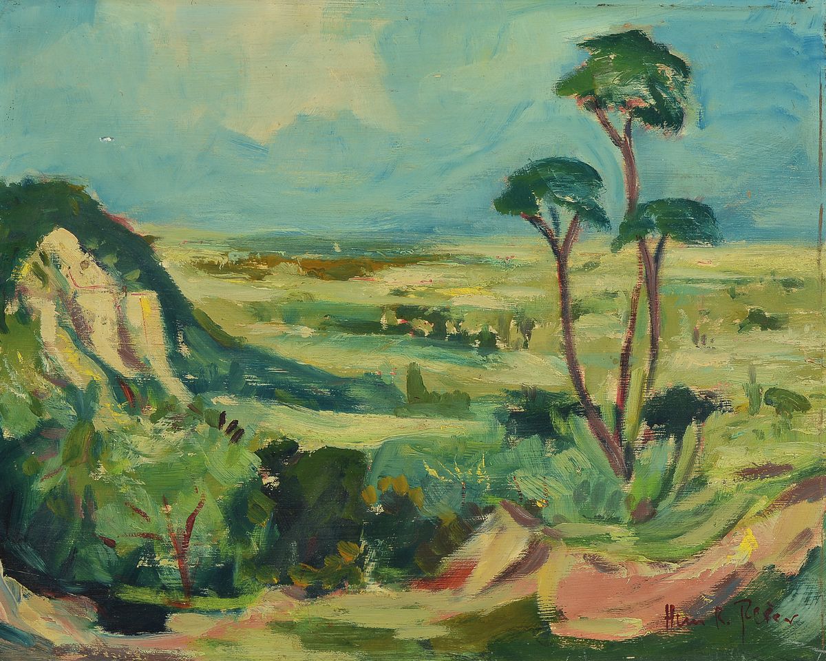Hans Rolf Peter, geb. 1926 Neustadt a. d. Weinstraße, Blick von der Haardt ins Neustädter Tal, Öl/Hartfaser, rechts unten signiert, ca.40x50cm, R. ...