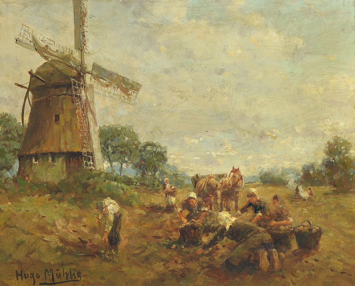 Hugo Mühlig, 1854 Dresden-1929 Düsseldorf, Bauern bei der Kartoffelernte, seitlich eine Windmühle, Öl/Holz, links unten signiert, ca. 24x30cm, R. ...