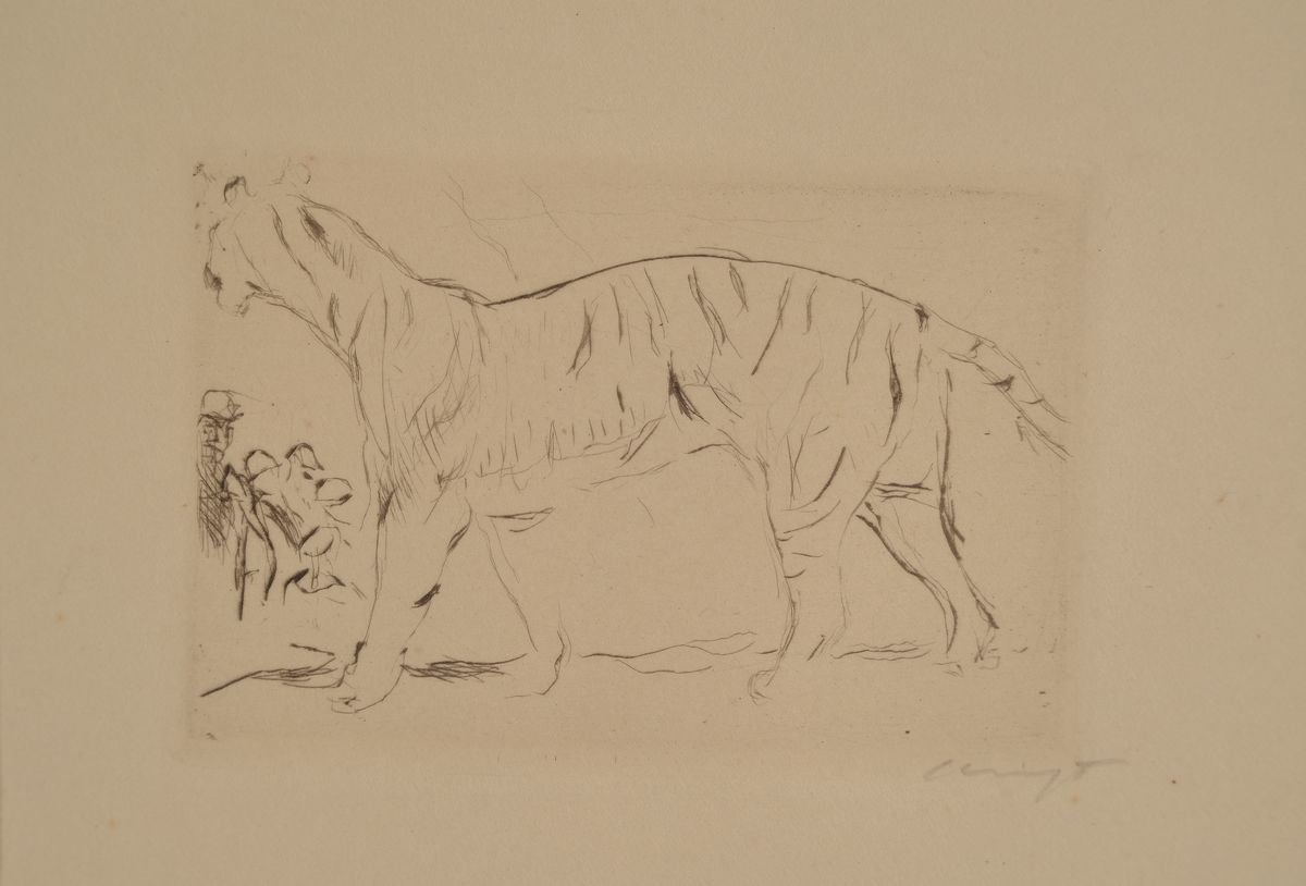 Detail b: Max Slevogt, 1868-1932, 4 Grafiken: 2 Lithographien auf dünnem Papier, davon eine u.Gl., R., 2 Radierungen mit schreitendem bzw. liegendem Tiger, ...