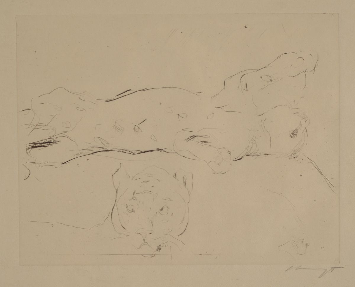 Detail c: Max Slevogt, 1868-1932, 4 Grafiken: 2 Lithographien auf dünnem Papier, davon eine u.Gl., R., 2 Radierungen mit schreitendem bzw. liegendem Tiger, ...