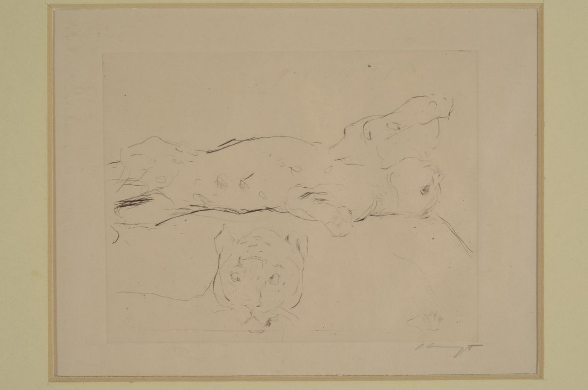 Detail n: Max Slevogt, 1868-1932, 4 Grafiken: 2 Lithographien auf dünnem Papier, davon eine u.Gl., R., 2 Radierungen mit schreitendem bzw. liegendem Tiger, ...