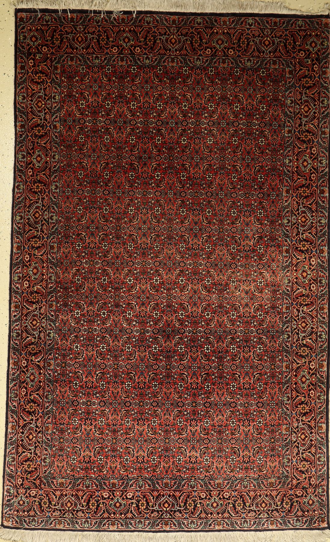 Bidjar fein, Persien, ca. 20 Jahre, Wolle auf Baumwolle, ca. 208 x 128 cm, EHZ: 2