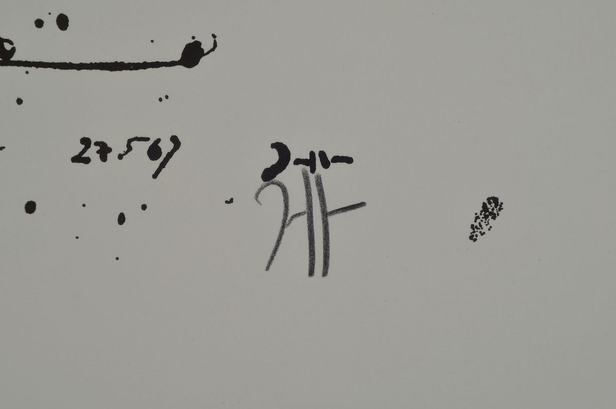 Detail a: Umfangreiches Konvolut zu Horst Janssen (1929-1995), 18 handsignierte Offsetdrucke, je ca. 28x21cm in rahmenlosen Bildhaltern, Bücher: 3Bildbände ...