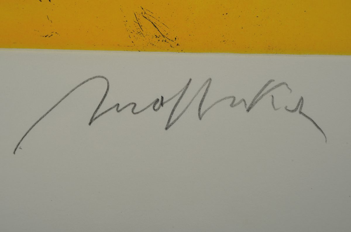 Detail a: Alfred Hrdlicka, 1928-2009 Wien, Wunderkind Mozart, Radierung von 2004, handsigniert, num. 41/100, ca. 59x79cm, u.Gl., R. ca. 77x102cm