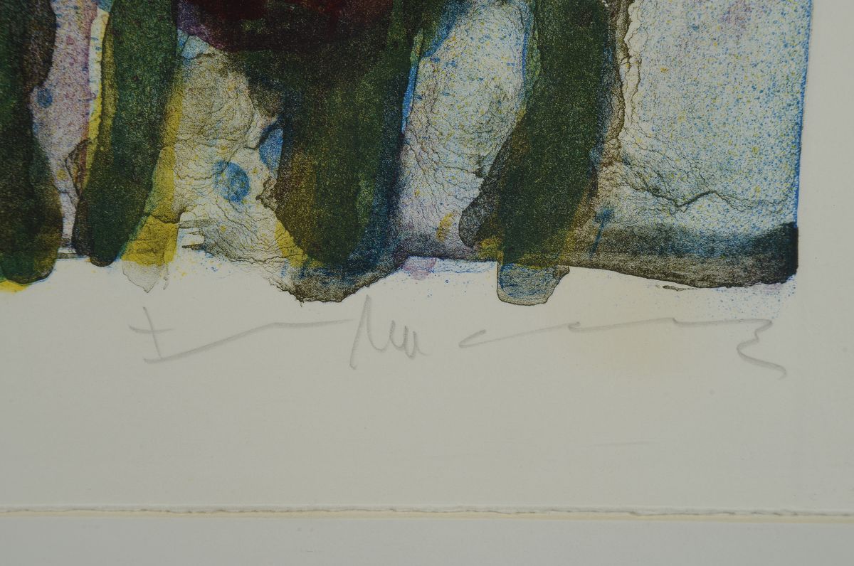 Detail a: Klaus Fußmann, 1938 Velbert, Lithographie, Blumen, 36/50, handsigniert, 35.5 x 35 cm, unter Glas, Rahmen