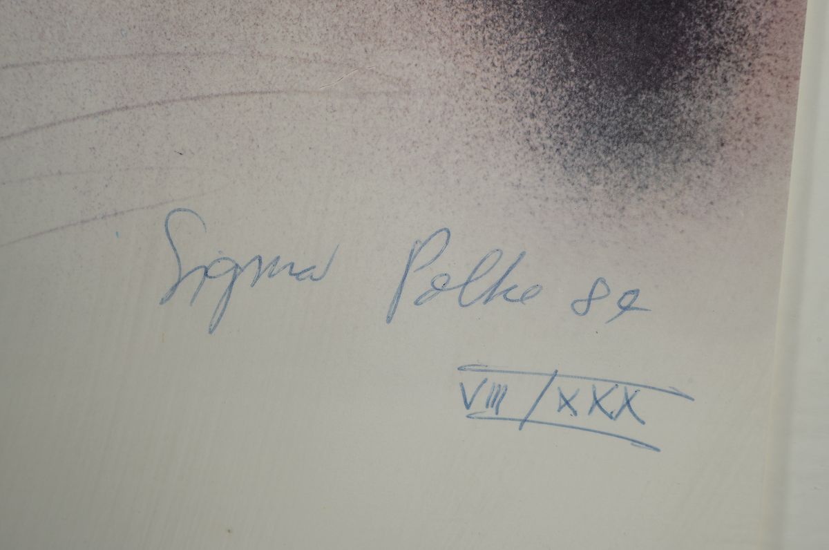 Detail a: Sigmar Polke, 1941 Oels-2010 Köln, Samson und Delilah, Heliographie von 1989, handsigniert und num.: VIII/XXX, mit cut-outs, aus der Mappe ...