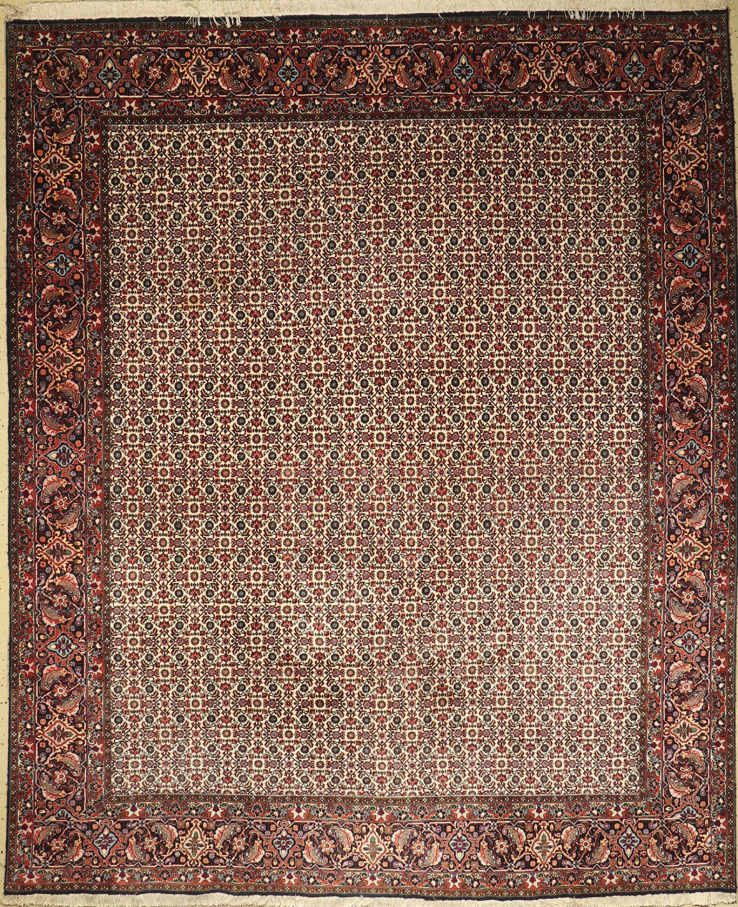 Bidjar, Persien, ca. 30 Jahre, Wolle auf Baumwolle, ca. 308 x 253 cm, EHZ: 2-3