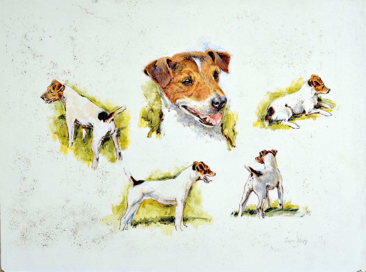 John Paley, Gouache/Papier, sign., ca. 38x51 cm