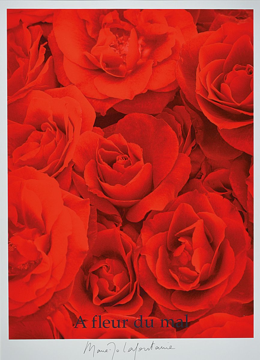 Marie-Jo Lafontaine, geb. 1950, Farbsiebdruck auf Karton, " A fleur du mal" aus 1999, handsigniert, ca. 92 x 72 cm unter Glas, Rahmen 107 x ...