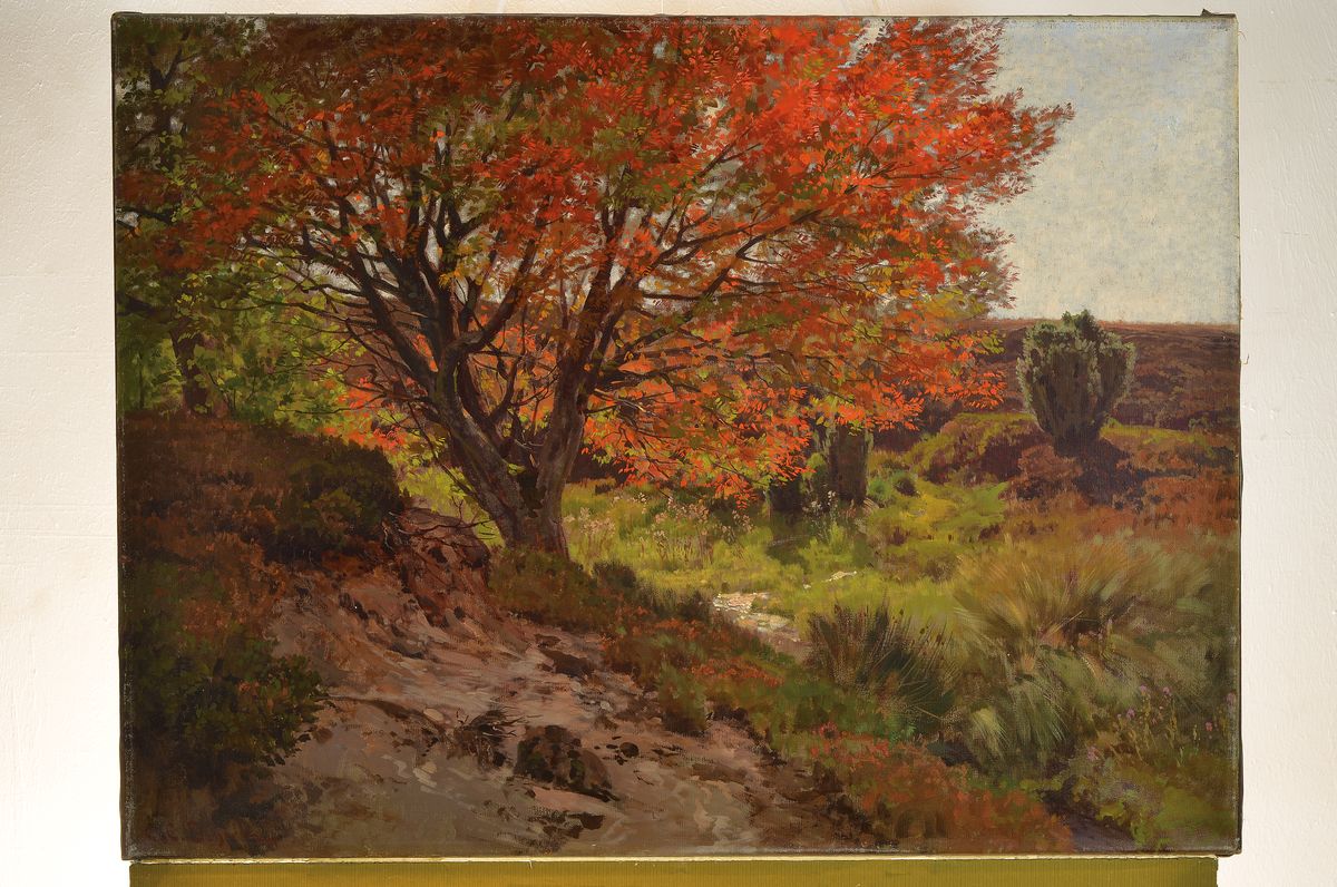 Detail k: Carl Coven Schirm, 1852 Wiesbaden-1928 Amelinghausen, Alte Eberesche an der Heidequelle, so rückseitig auf altem Etikett betitelt und als Nr. 650 ...