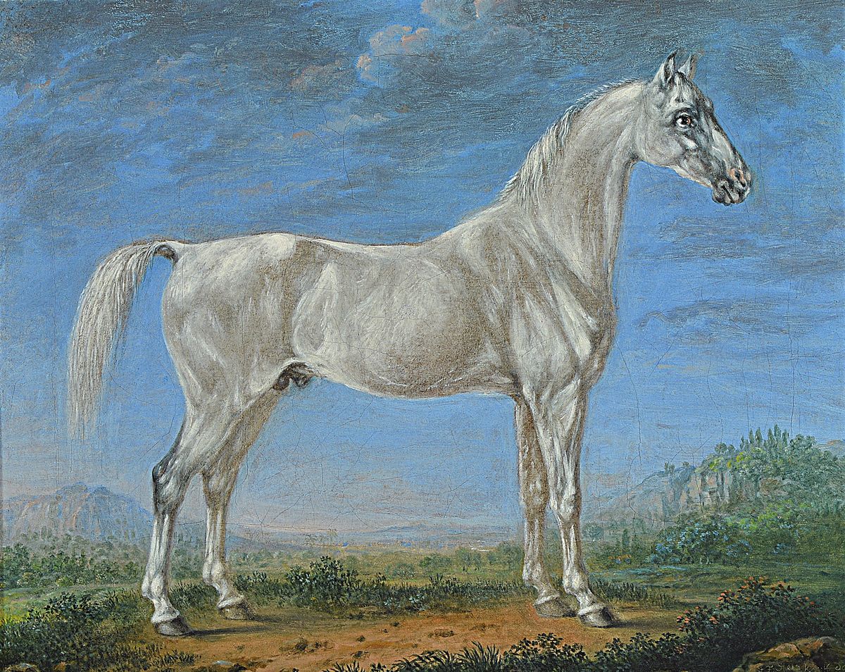 Johann Friedrich Steinkopf, 1737 Oppenheim - 1825 Stuttgart, stehender Schimmel, Öl/Lwd, re. unten Ritzsignatur und dat. 1823, doubliert und rest., ...