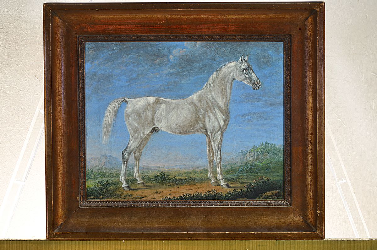 Detail k: Johann Friedrich Steinkopf, 1737 Oppenheim - 1825 Stuttgart, stehender Schimmel, Öl/Lwd, re. unten Ritzsignatur und dat. 1823, doubliert und rest., ...