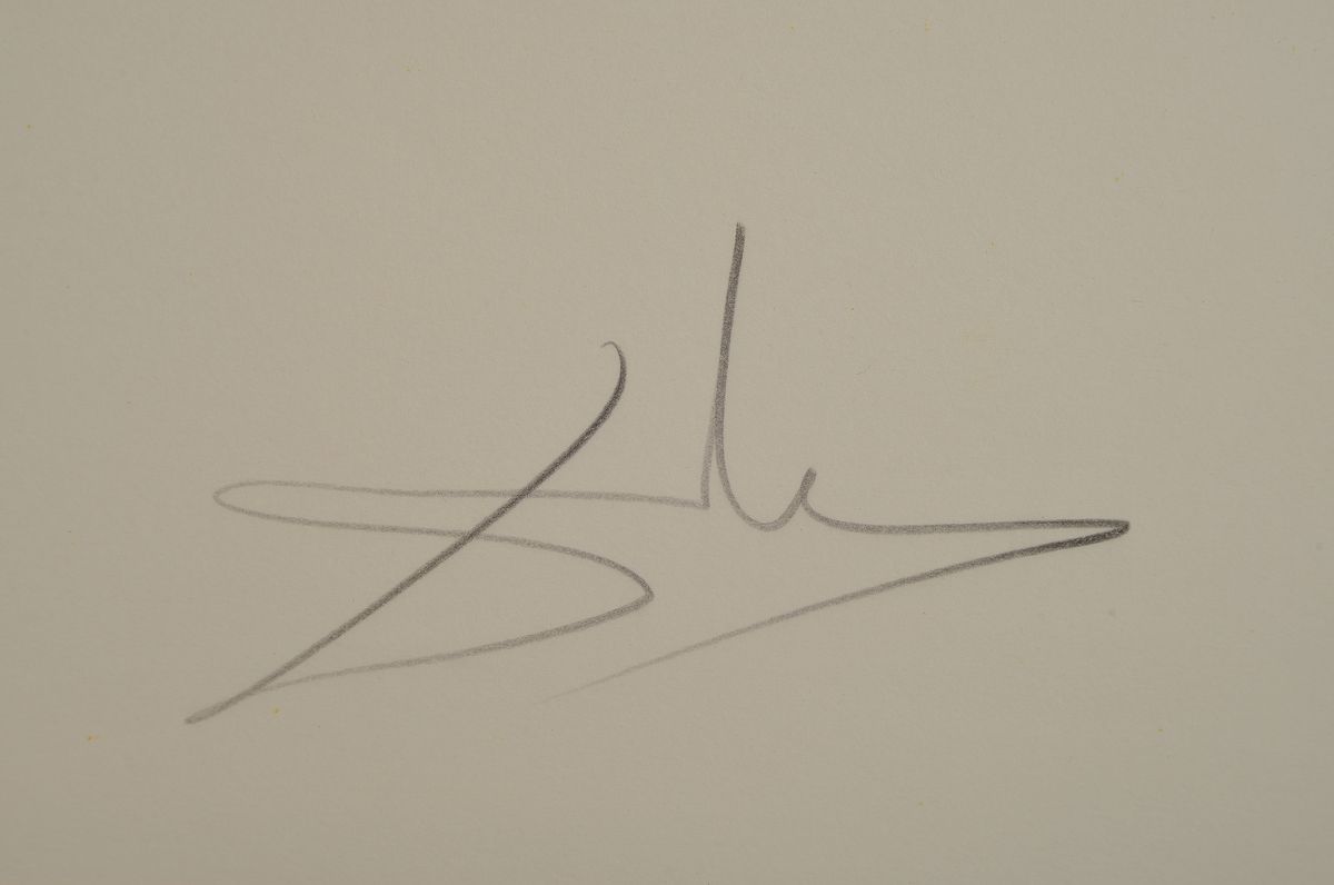 Detail l: Salvador Dali, 1904-1989, Papillons de l'anti-matiere, Kaltnadelradierung auf Farblithographie mit Prägung, Blatt 3 aus: La Conquete du Cosmos ...