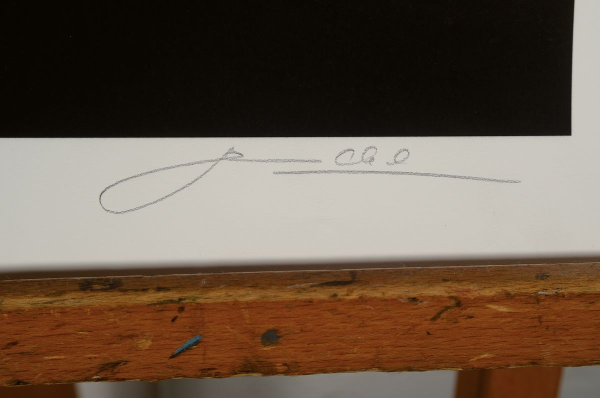 Detail a: Peter Handel, geb. 1949 Anklam, Karina im Loft, Giclee auf Bütten, handsigniert, num. 23/25, 2013, Blattgr. ca. 61x49cm