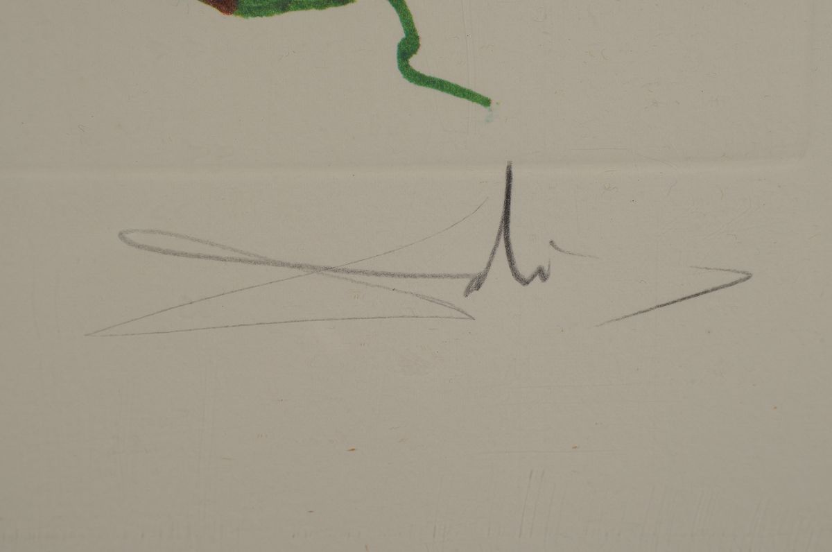 Detail a: Salvador Dali, 1904 Figueras - 1989 ebenda, "Anemone per anti pasti" aus der Serie Surrealistische Blumen von 1972, Kaltnadelradierung auf ...