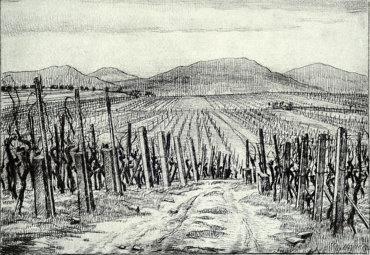 Werner Brand, geb. 1933, Mappe "Wein+Reben" mit 6 Radierungen, alle handsigniert und num. 2/30, betitelt: Wingert, Der Rebstock, ...