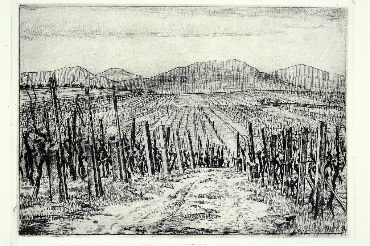 Detail k: Werner Brand, geb. 1933, Mappe "Wein+Reben" mit 6 Radierungen, alle handsigniert und num. 2/30, betitelt: Wingert, Der Rebstock, ...