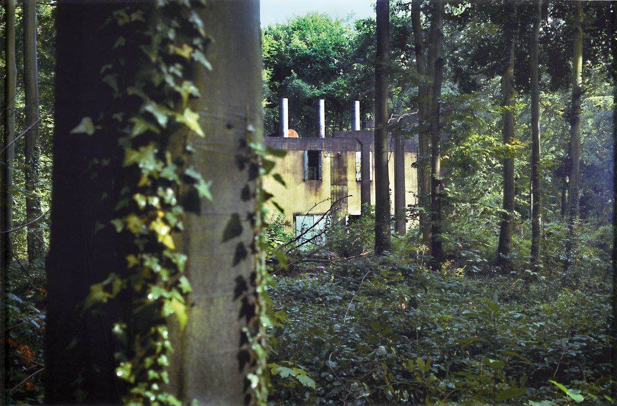 Peter Doig, geb. 1959, ohne Titel, Waldlandschaft mit Bauruine, Farbdigitaldruck auf PE-Papier/Hartschaumplatte aufgezogen, rückseitig handsigniert ...