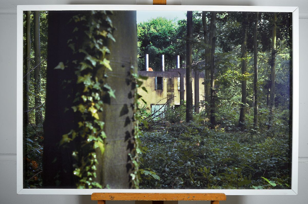 Detail k: Peter Doig, geb. 1959, ohne Titel, Waldlandschaft mit Bauruine, Farbdigitaldruck auf PE-Papier/Hartschaumplatte aufgezogen, rückseitig handsigniert ...