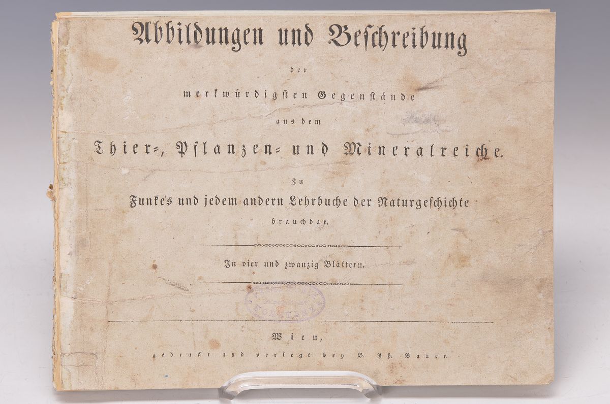 Detail a: 12 kolorierte Kupferstiche zu Funkes Lehrbuch der Naturgeschichte, Wien, um 1830-40, Fische und Amphibien, Insekten, afrikanische Säugetiere, an den ...