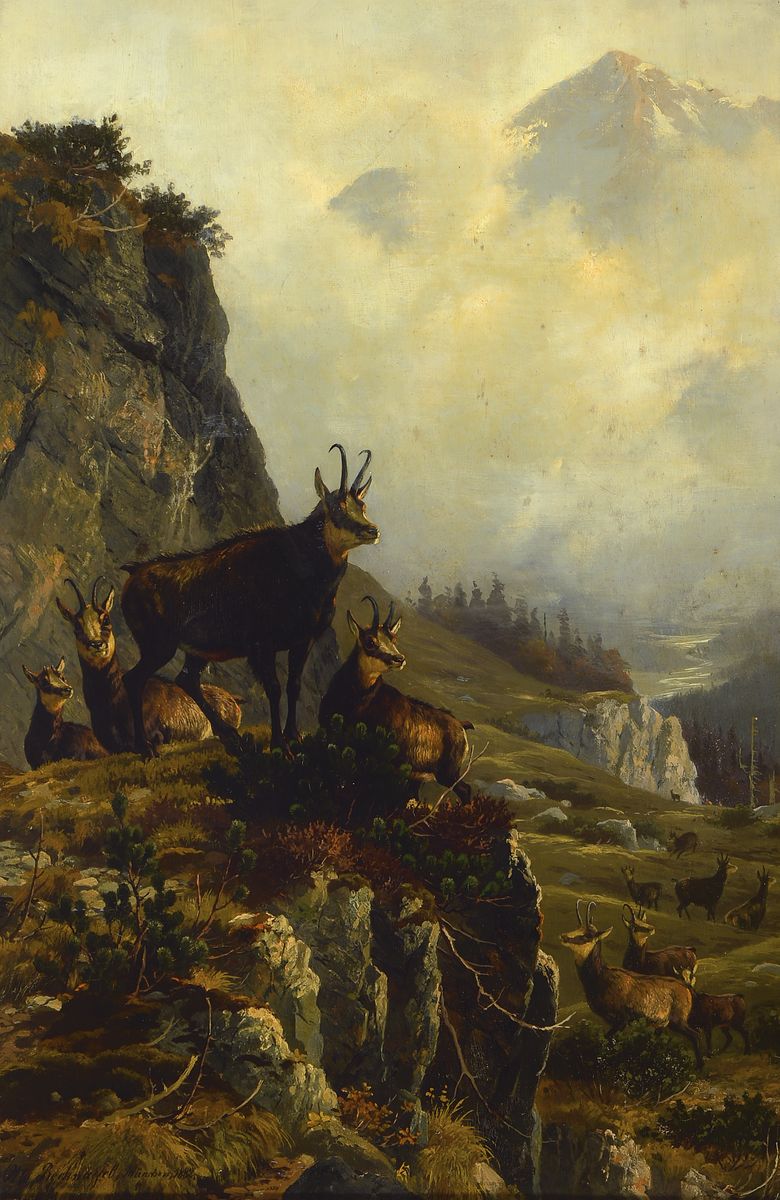 Otto Recknagel, 1845 Eisfeld-1926 München, Gemsen in der Felswand, Öl/Holz, links unten signiert: Otto Recknagel München 1882, ca. 49x32.5cm, R. ...