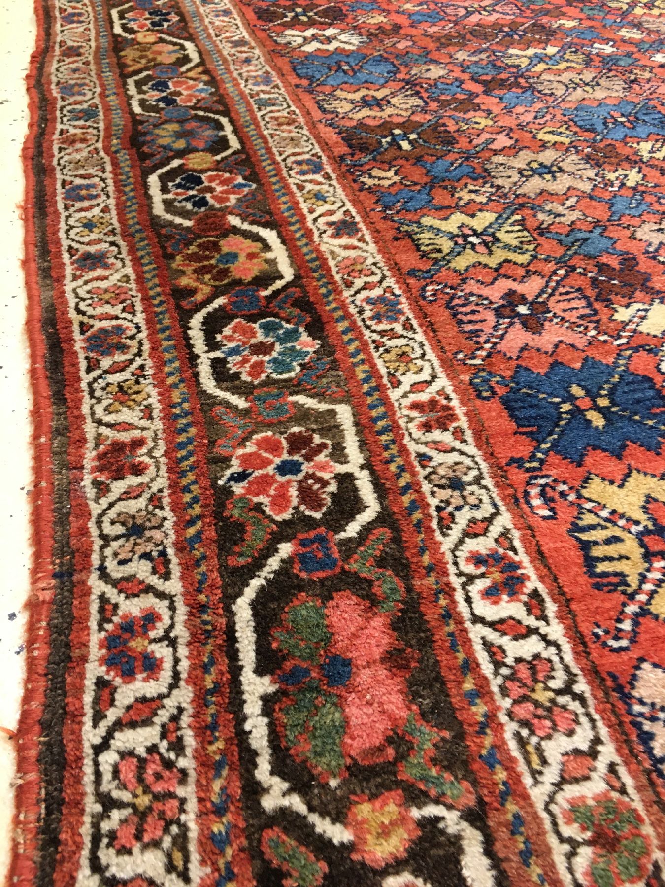 Detail f: Seltener Gerus Bidjar antik (Krabben Muster), Nordwestpersien, Ende 19.Jhd., Wolle geknüpft auf Wolle. Ein sogenanntes Krabbenmuster in wechselnden ...