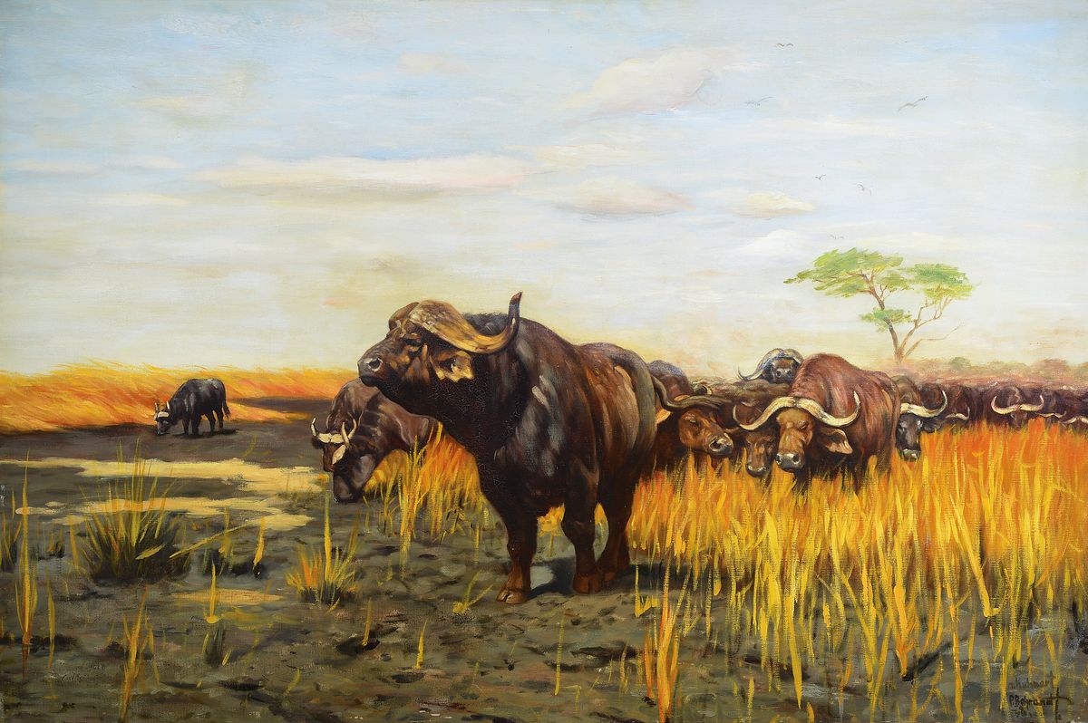 Paul Behrendt, geb. 1891, Herde Kaffernbüffel nach Wilhelm Kuhnert (1865-1926), Öl/Lwd, rechts unten signiert, min. rest., ca. 80x120cm, R. ca. ...