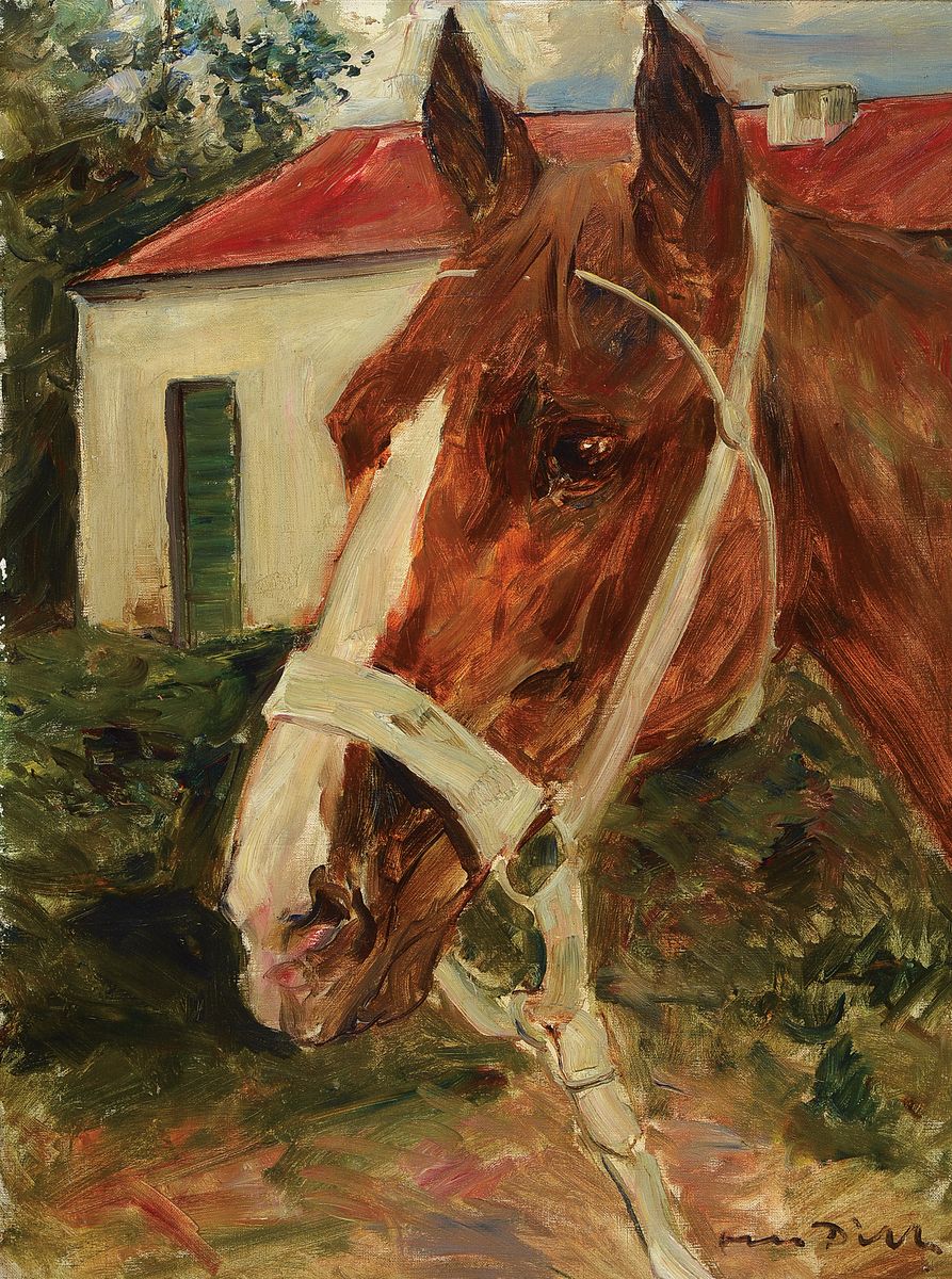 Otto Dill, 1884 Neustadt/Wstr.-1957 Bad Dürkheim, Kopf eines Fuchshengstes, Öl/Lwd, rechts unten signiert, rückseitig zwei Ausstellungsetiketten ...
