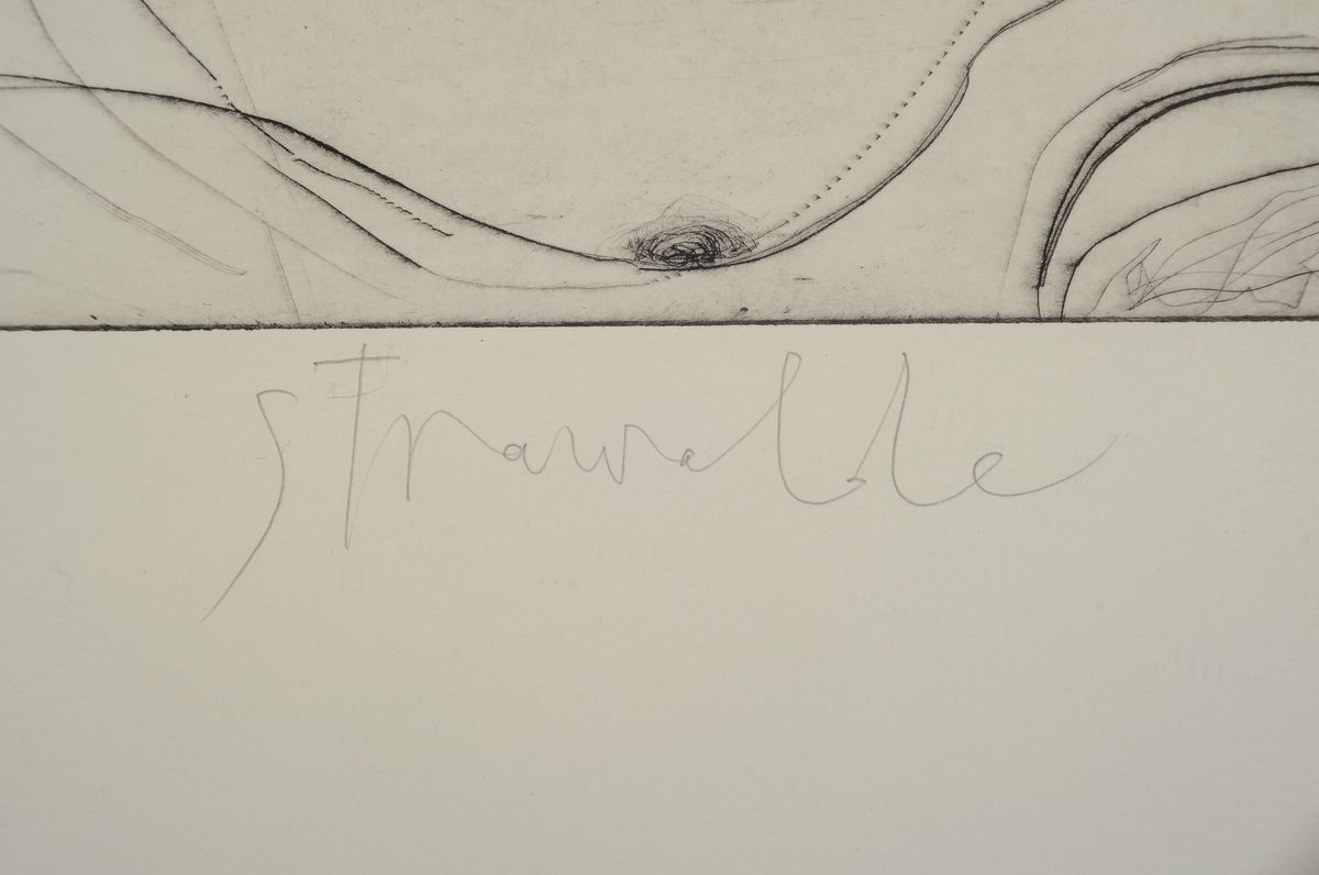 Detail a: Srawalde, Russ auf Papier, Kaltnadelradierung, signiert und datiert 2005, nummeriert 15/26, Motive ca. 53x49cm, unter Glas gerahmt, ca. 100x71cm